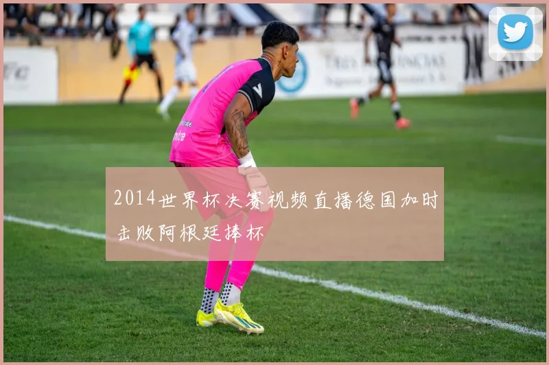 2014世界杯决赛视频直播德国加时击败阿根廷捧杯