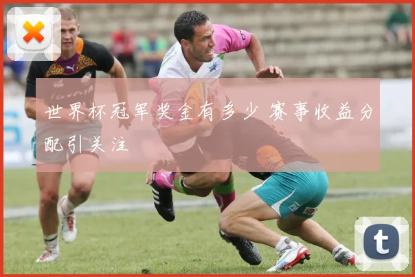 世界杯冠军奖金有多少 赛事收益分配引关注