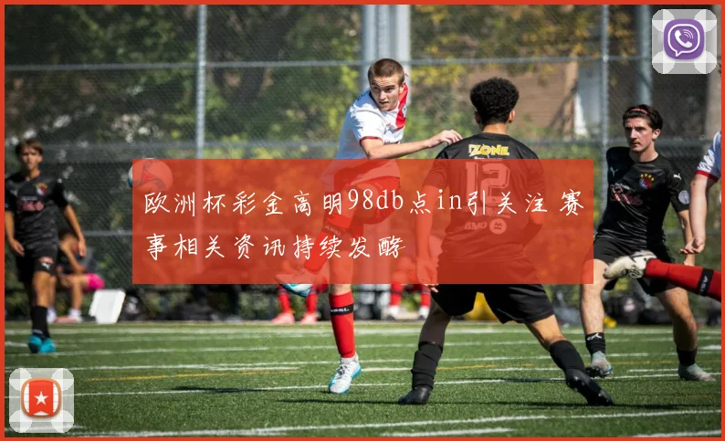 欧洲杯彩金高明98db点in引关注 赛事相关资讯持续发酵