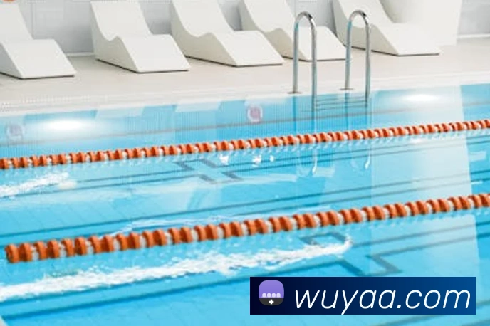 星空官方网站平台平台生态图