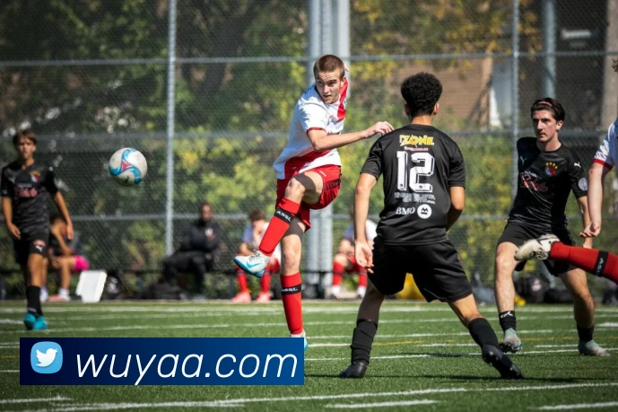 星空官方网站平台APP 封面图